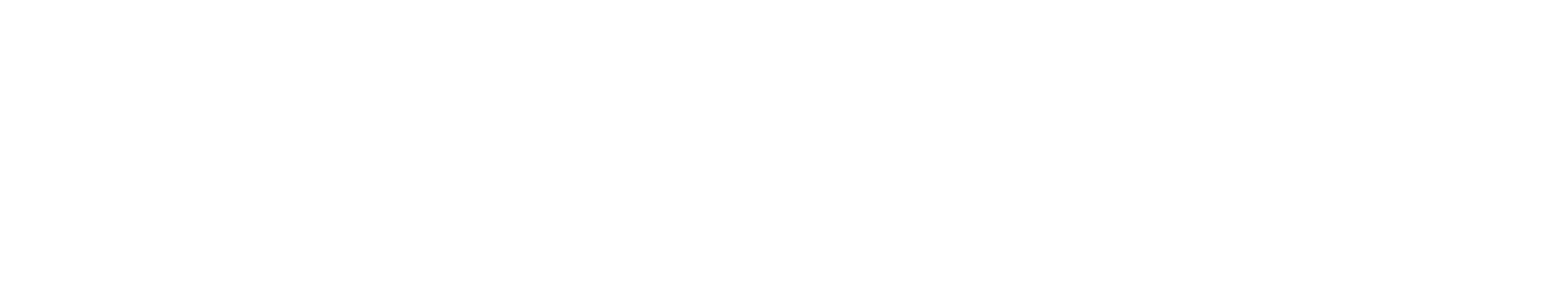 WonderLab WonderDewi Logo